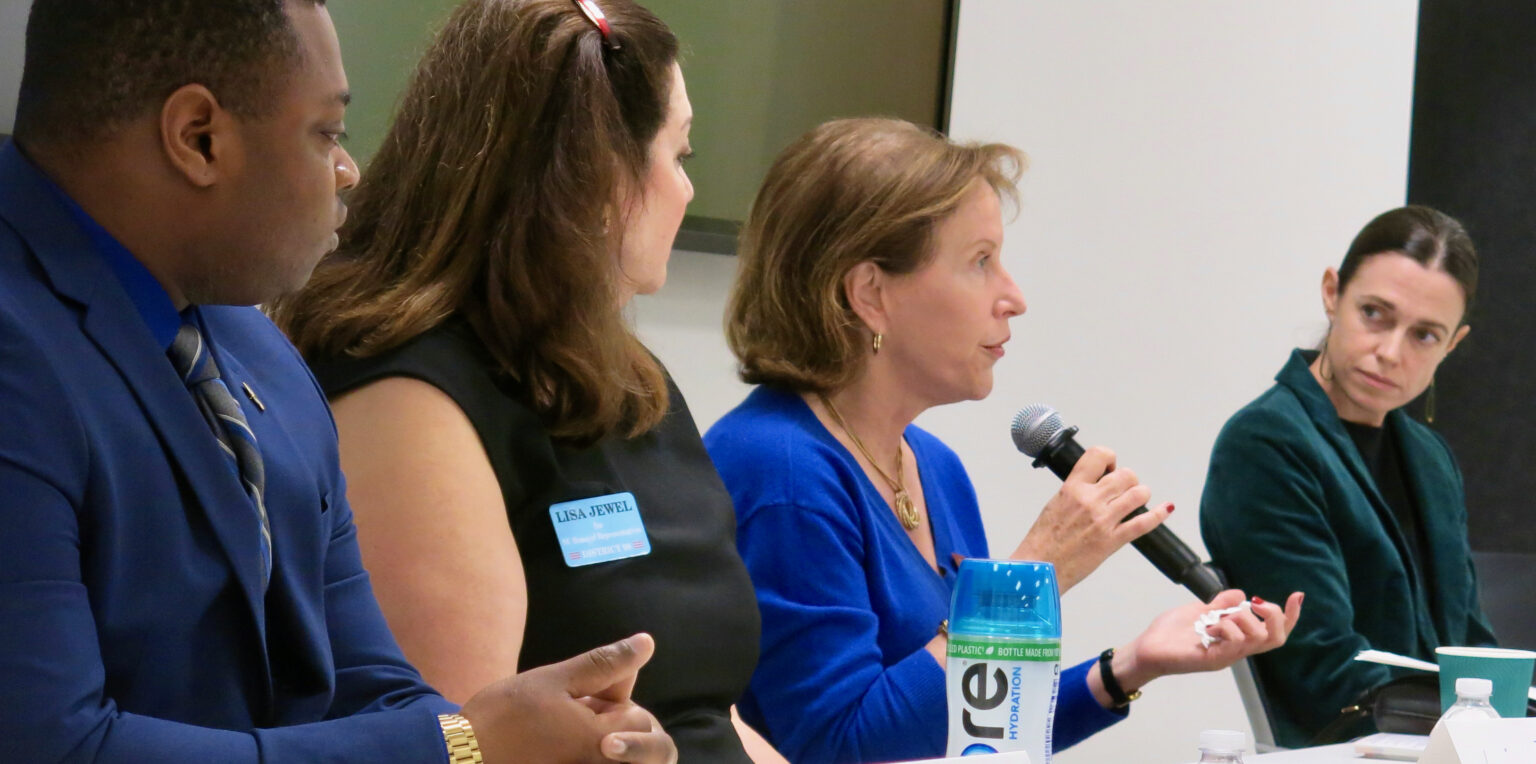 Priorities, principles, preparation 4 legislative candidates